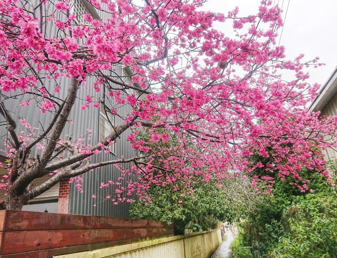Xinshe Xiao Shu Time Homestay 외부 사진
