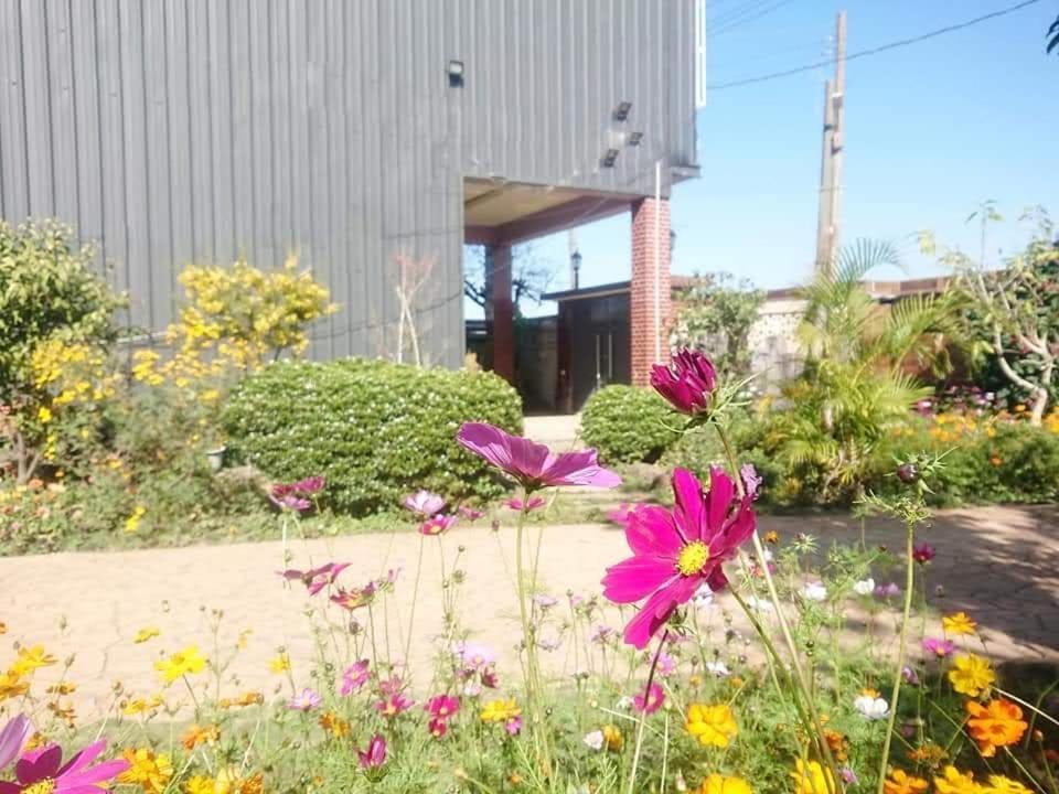 Xinshe Xiao Shu Time Homestay 외부 사진
