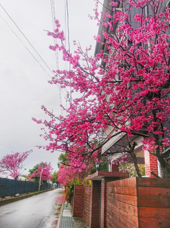 Xinshe Xiao Shu Time Homestay 외부 사진